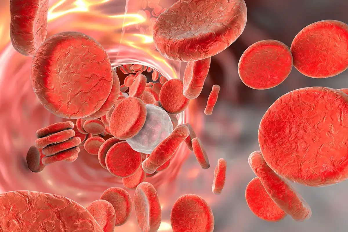 Know What's Happening Inside Your Blood — Before It Becomes a Problem Life Aid